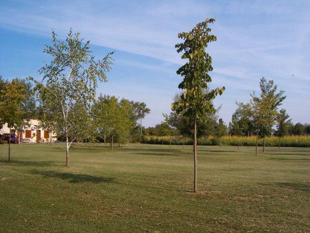 Rovereto sulla Secchia Laghi Paradiso מראה חיצוני תמונה